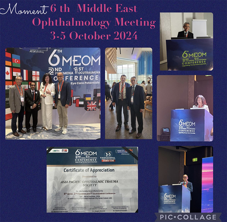 Picture The 6th Middle East Ophthalmology Meeting 2024